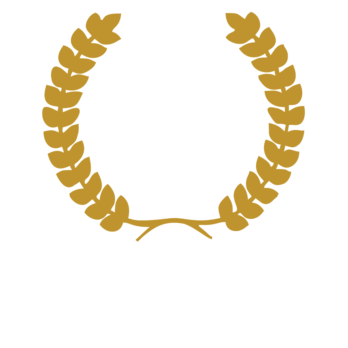 جامعة القمة الحديثة 